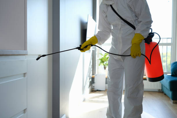 Best Industrial Mold Remediation in Nanuet, NY
