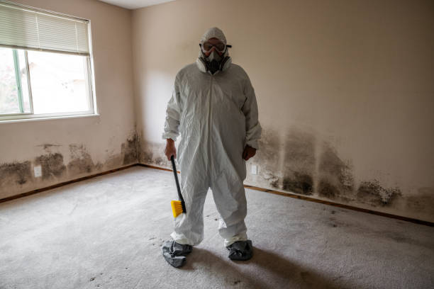 Best Residential Mold Remediation in Nanuet, NY